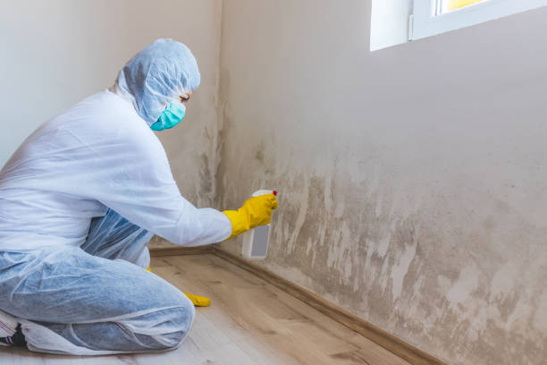 Licensed Mold Remediation service in Franklin Lakes, NJ - 24 Hour Mold Removal