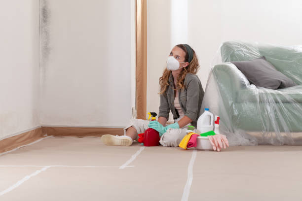 Reliable Mold Remediation contractor in Franklin Lakes, NJ by 24 Hour Mold Removal